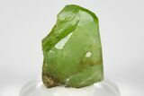 Green Olivine Peridot Crystal - Pakistan #183940-2
